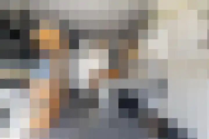 Zwaanstraat 11 Krommenie thumbnail 27