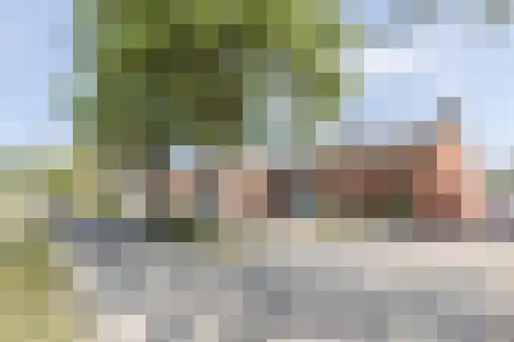 Zwaanstraat 14 Berkel-Enschot thumbnail 5