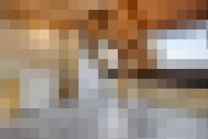 Zwaanstraat 15 Duiven thumbnail 18