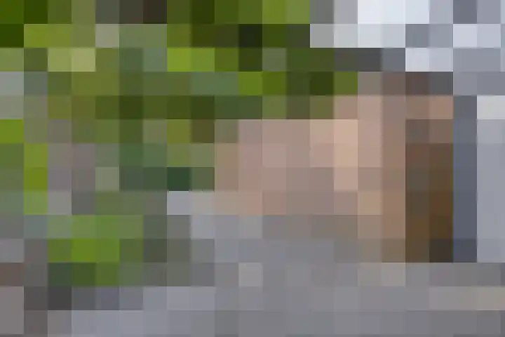 Zwaanstraat 15 Duiven thumbnail 20