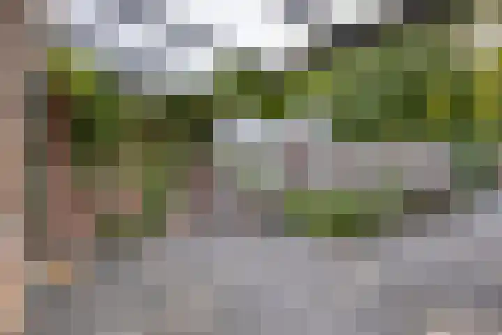 Zwaanstraat 15 Duiven thumbnail 21