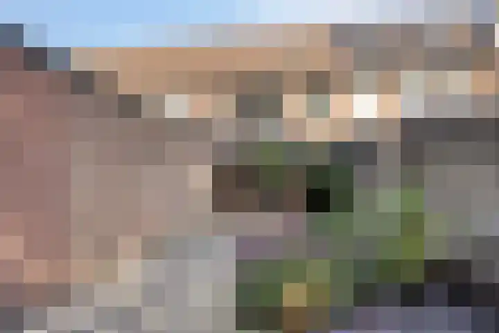 Zwaanstraat 15 Duiven thumbnail 24