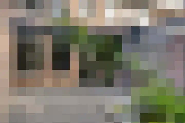 Zwaanstraat 15 Duiven thumbnail 25