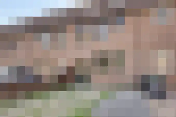 Zwaanstraat 15 Duiven thumbnail 27