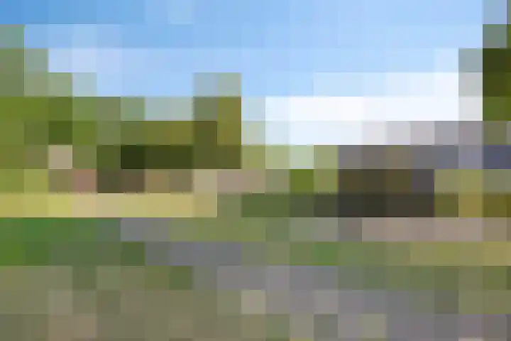 Zwaanstraat 15 Duiven thumbnail 28