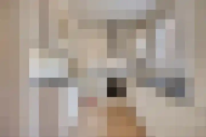 Zwaanstraat 15 Duiven thumbnail 5