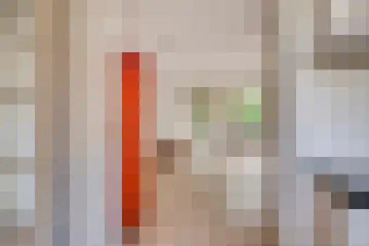 Zwaanstraat 15 Duiven thumbnail 7