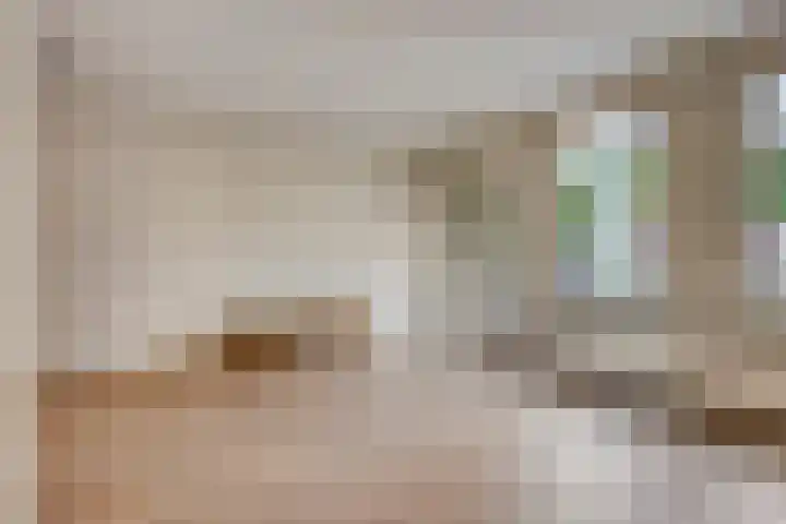 Zwaanstraat 15 Duiven thumbnail 9