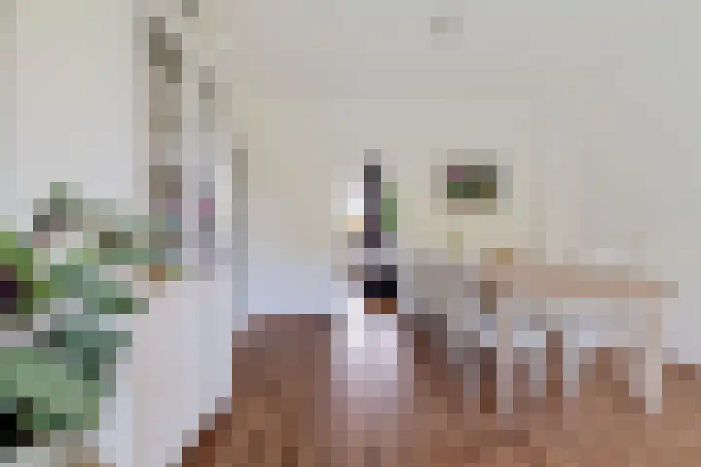 Zwaanstraat 17 Wormerveer thumbnail 12