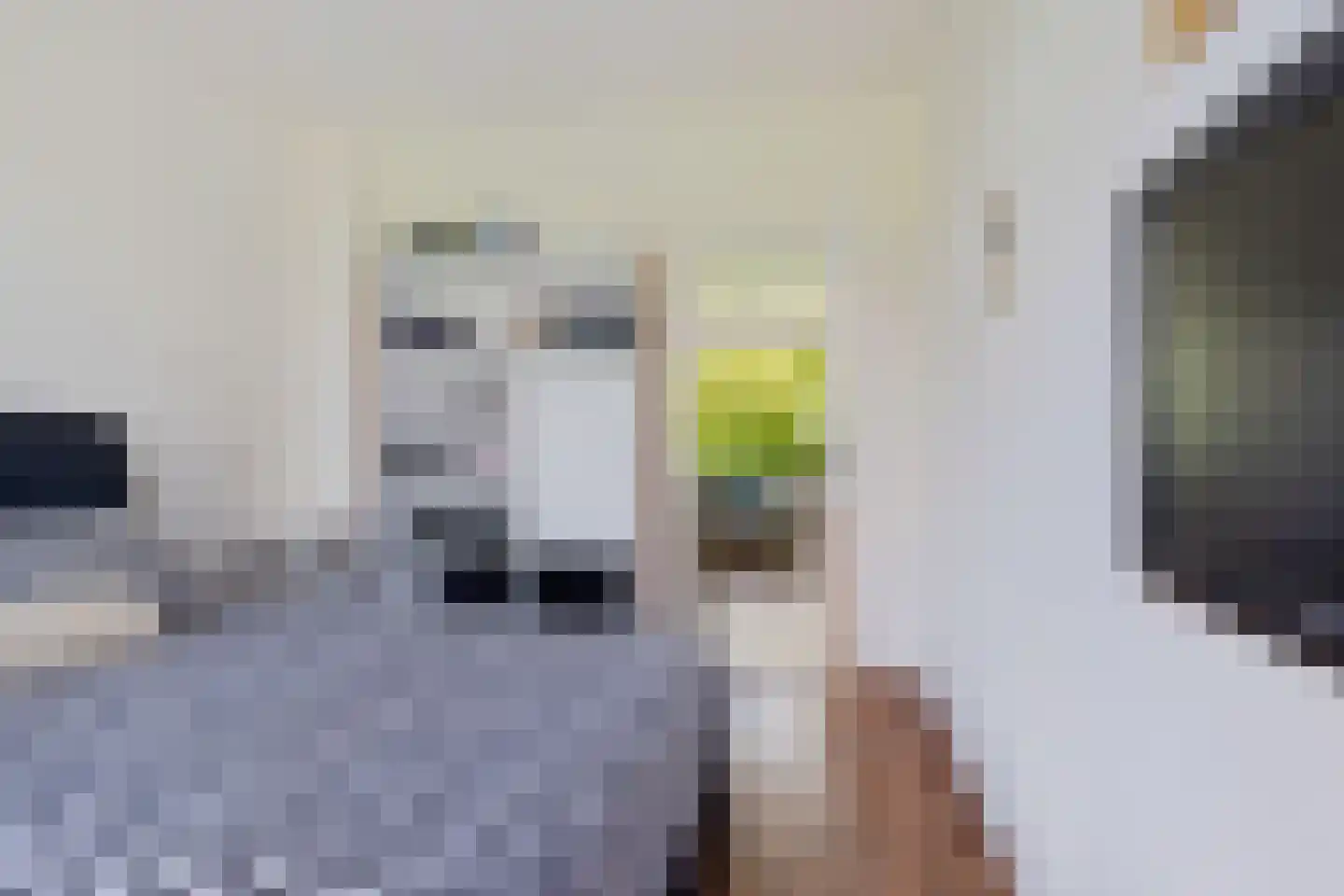 Zwaanstraat 17 Wormerveer thumbnail 20
