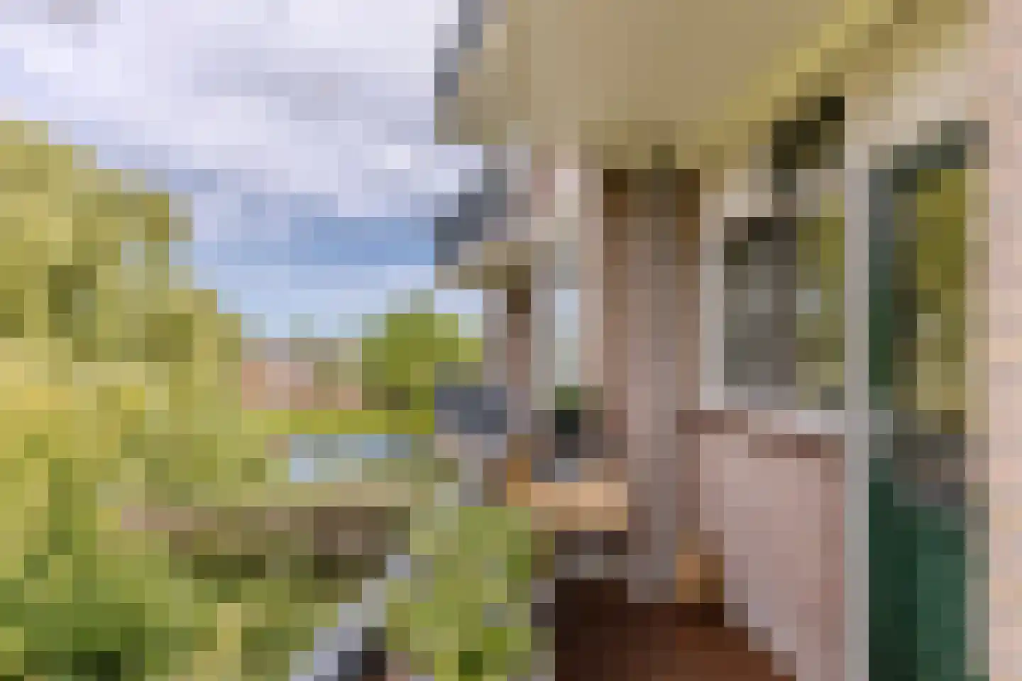 Zwaanstraat 18 Wormerveer thumbnail 12