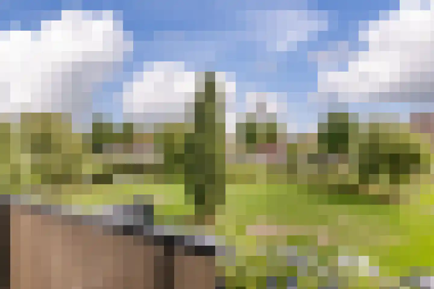 Zwaanstraat 18 Wormerveer thumbnail 4