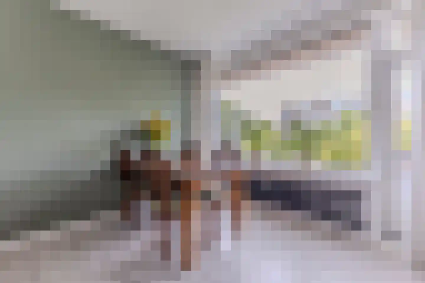 Zwaanstraat 18 Wormerveer thumbnail 7