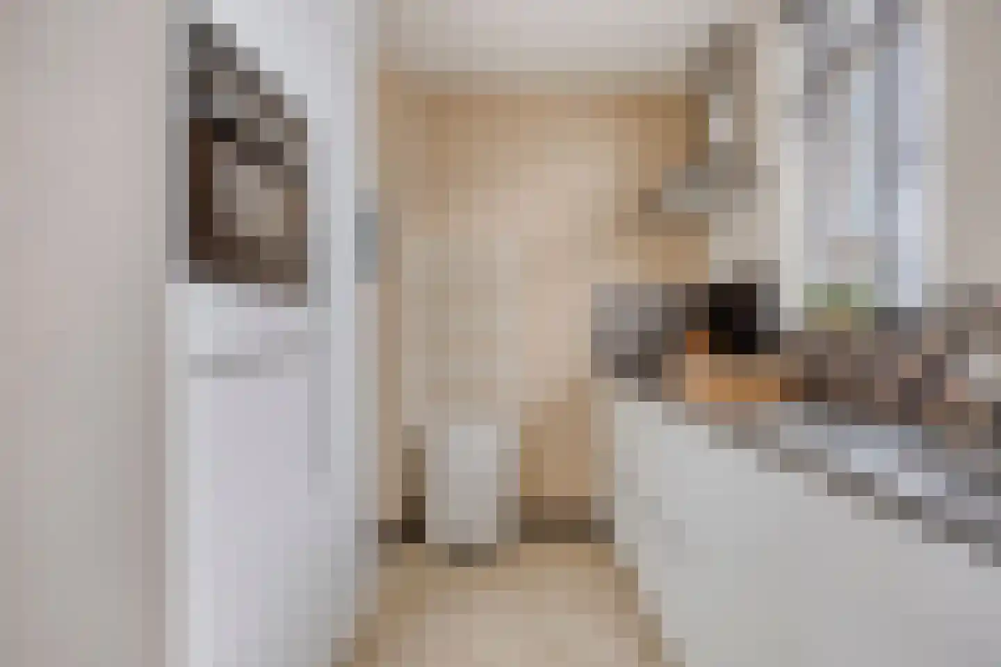 Zwaanstraat 2 Duiven thumbnail 11