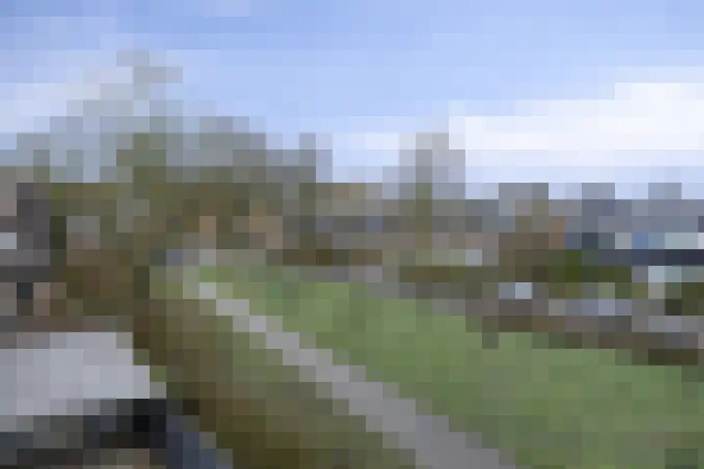 Zwaanstraat 2 Duiven thumbnail 28