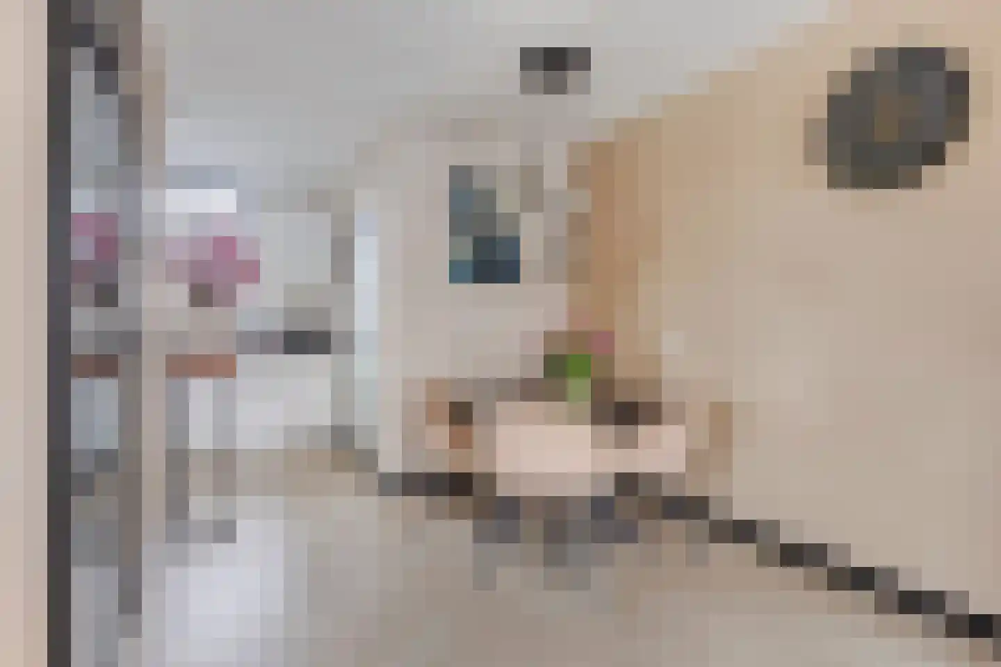 Zwaanstraat 2 Duiven thumbnail 7