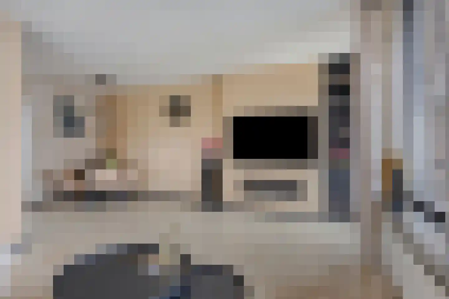 Zwaanstraat 2 Duiven thumbnail 8
