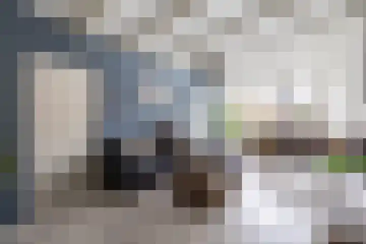 Zwaanstraat 21 Wormerveer thumbnail 13