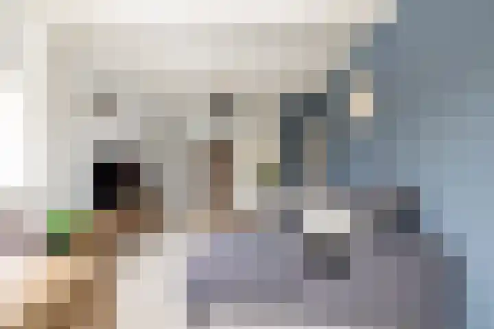 Zwaanstraat 21 Wormerveer thumbnail 15