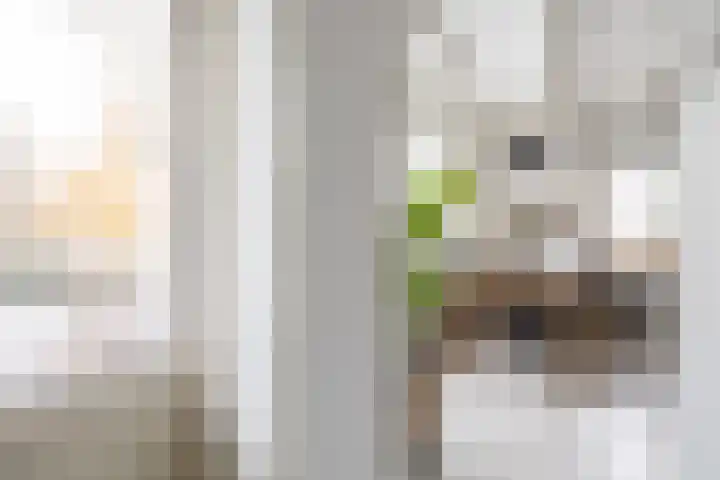 Zwaanstraat 21 Wormerveer thumbnail 22