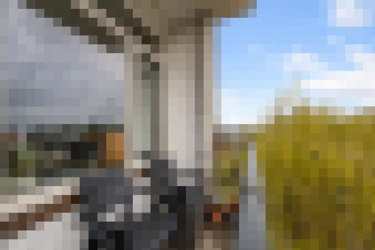 Zwaanstraat 23 Wormerveer thumbnail 24