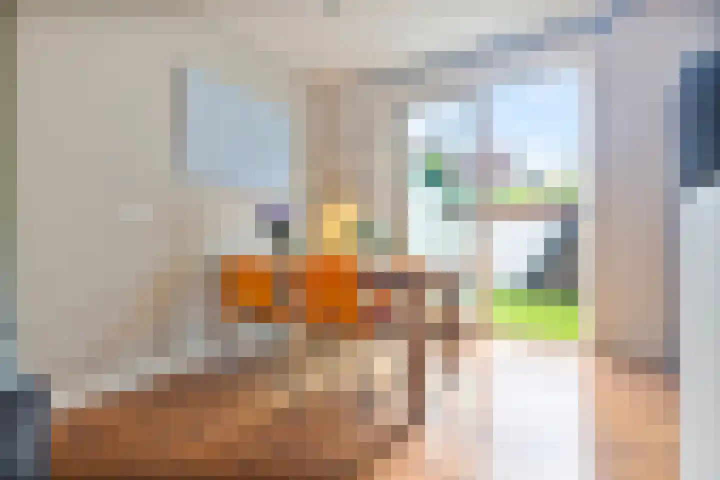 Zwaanstraat 3 Den Burg thumbnail 11