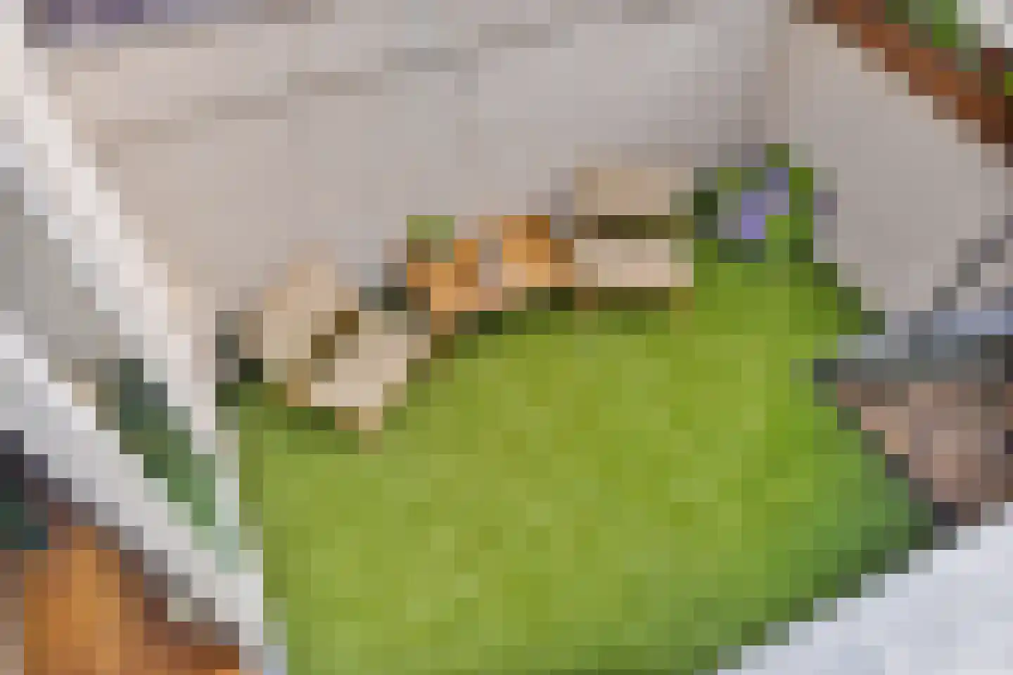 Zwaanstraat 3 Den Burg thumbnail 20