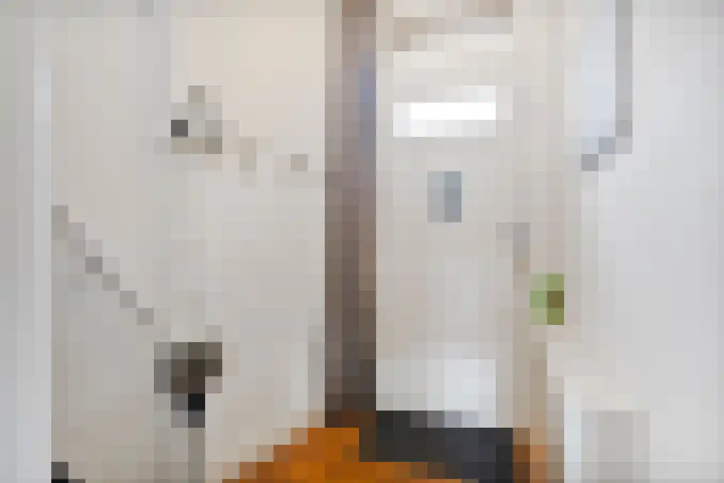 Zwaanstraat 3 Den Burg thumbnail 21