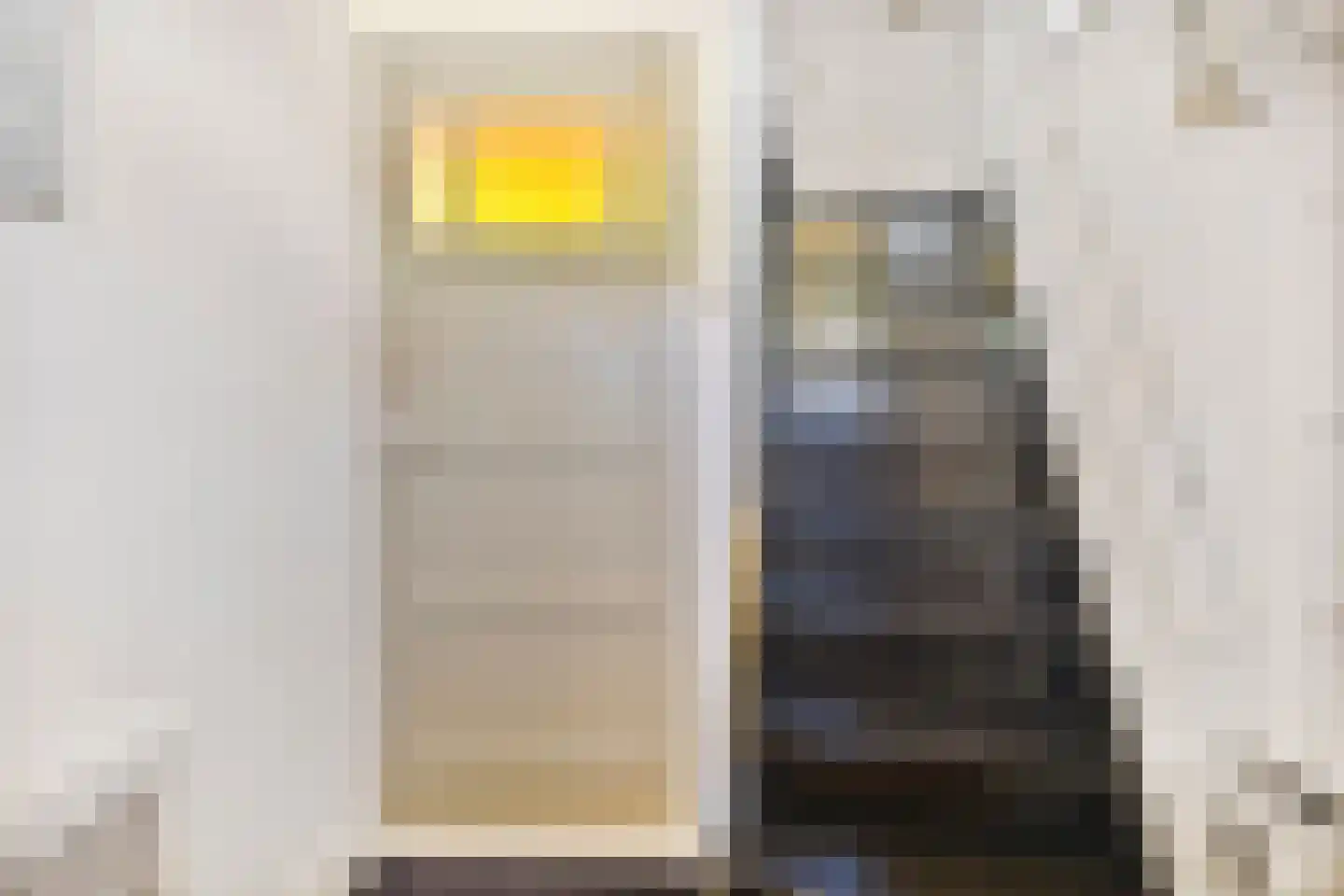 Zwaanstraat 3 Den Burg thumbnail 22