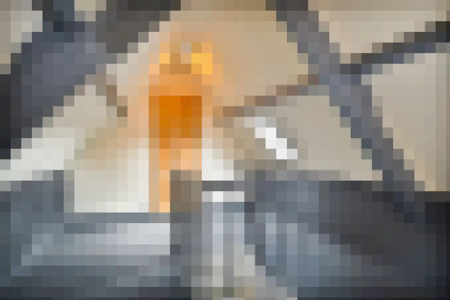 Zwaanstraat 3 Den Burg thumbnail 36