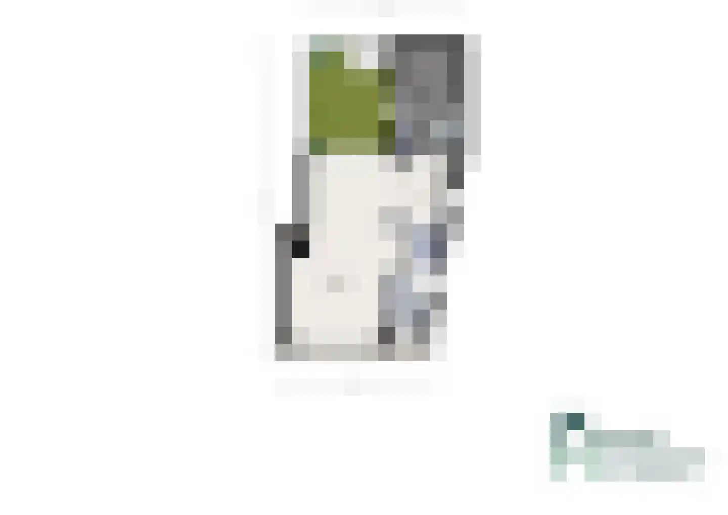 Zwaanstraat 3 Den Burg thumbnail 40