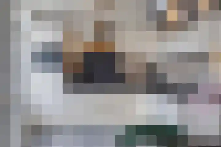 Zwaanstraat 30 Herpen thumbnail 10