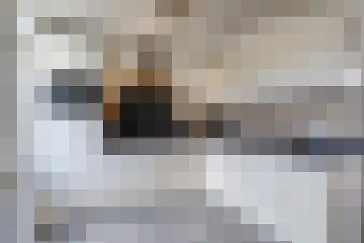 Zwaanstraat 30 Herpen thumbnail 11