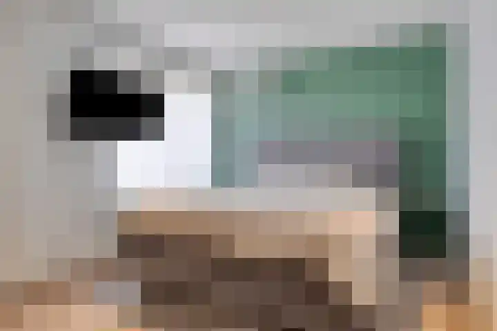 Zwaanstraat 30 Herpen thumbnail 15