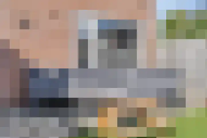 Zwaanstraat 30 Herpen thumbnail 26