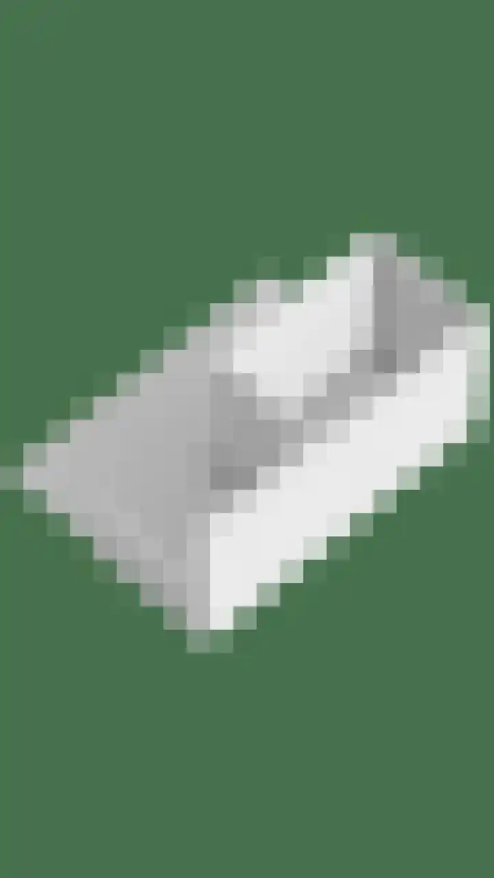 Zwaanstraat 30 Herpen thumbnail 40