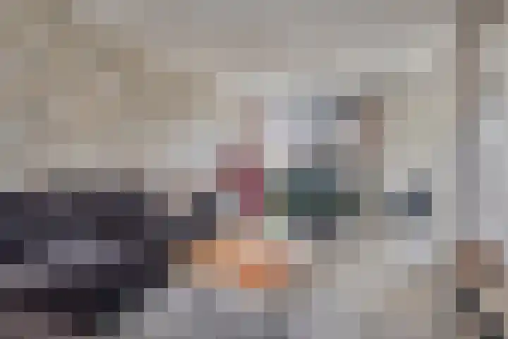 Zwaanstraat 30 Herpen thumbnail 7