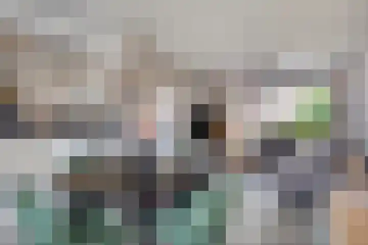 Zwaanstraat 30 Herpen thumbnail 8