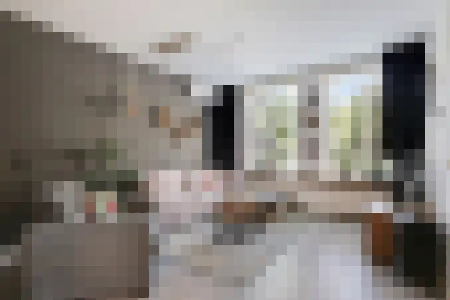 Zwaanstraat 56 Duiven thumbnail 13