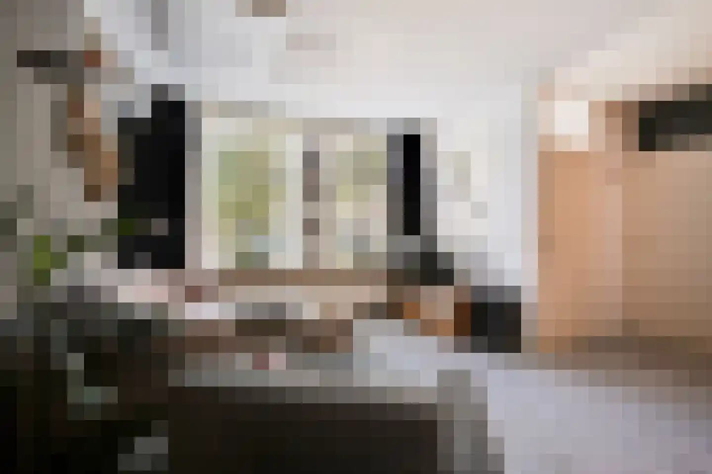 Zwaanstraat 56 Duiven thumbnail 14