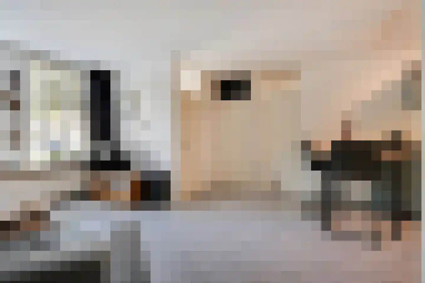 Zwaanstraat 56 Duiven thumbnail 15