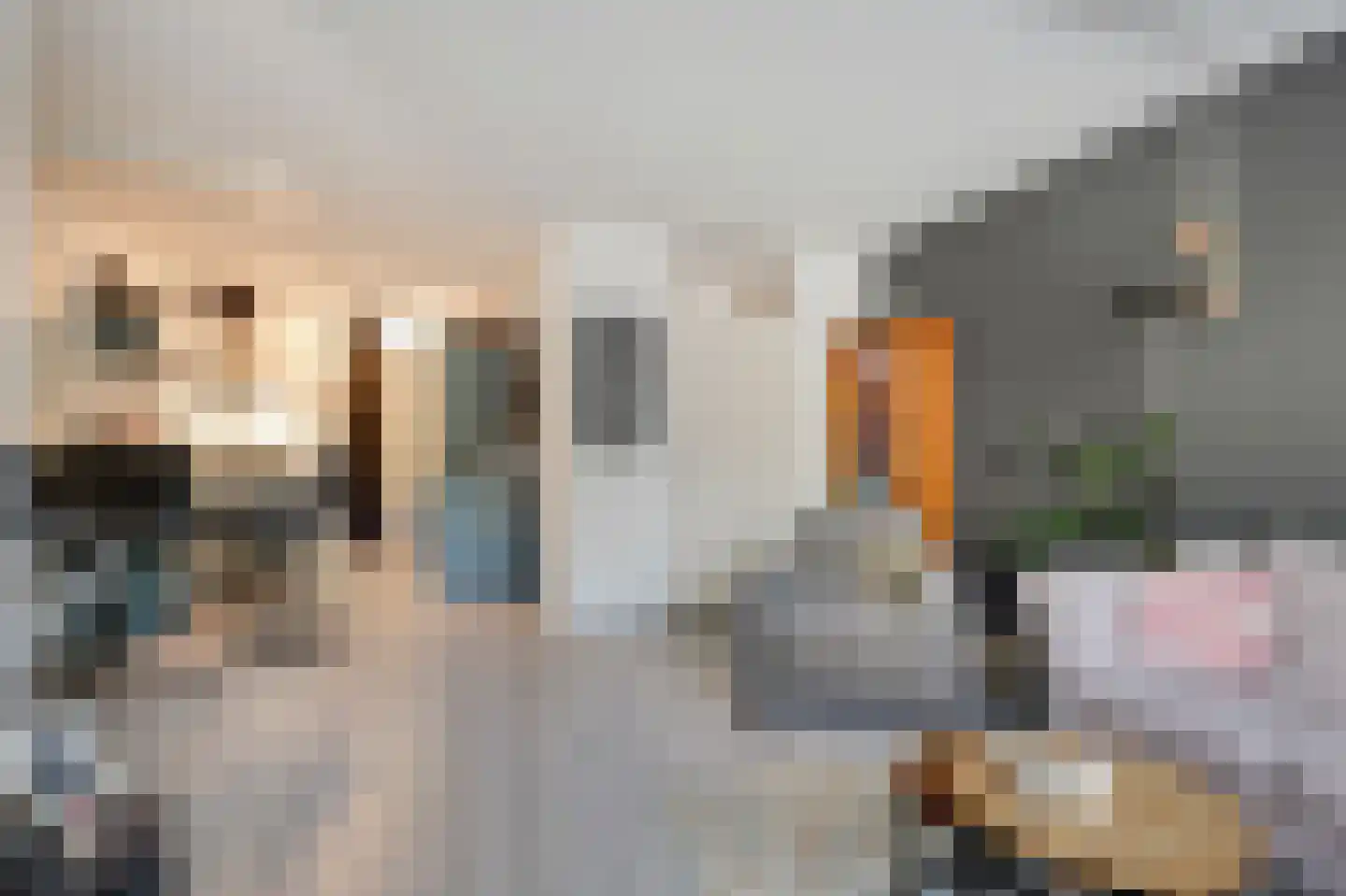 Zwaanstraat 56 Duiven thumbnail 16