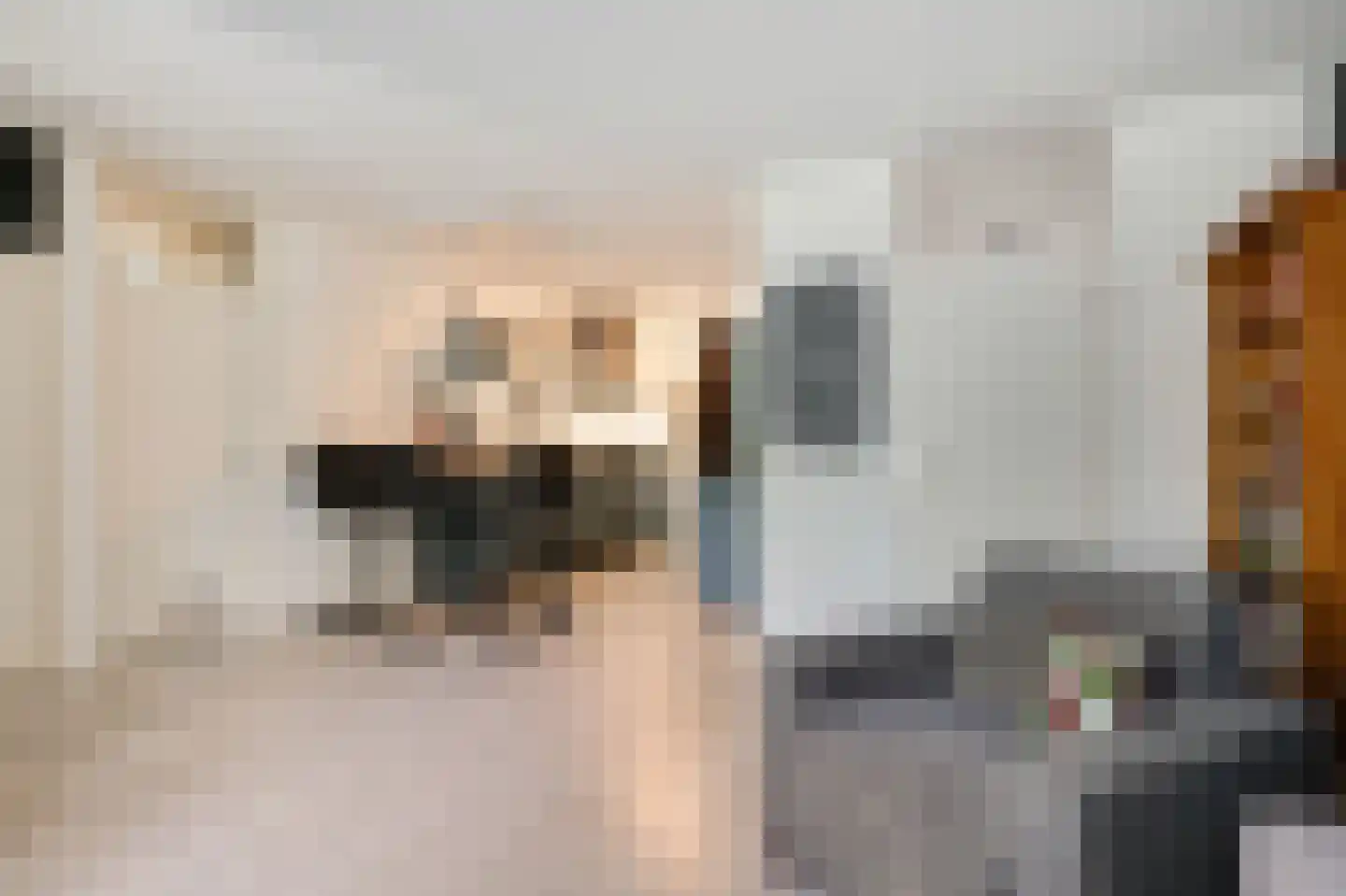 Zwaanstraat 56 Duiven thumbnail 17
