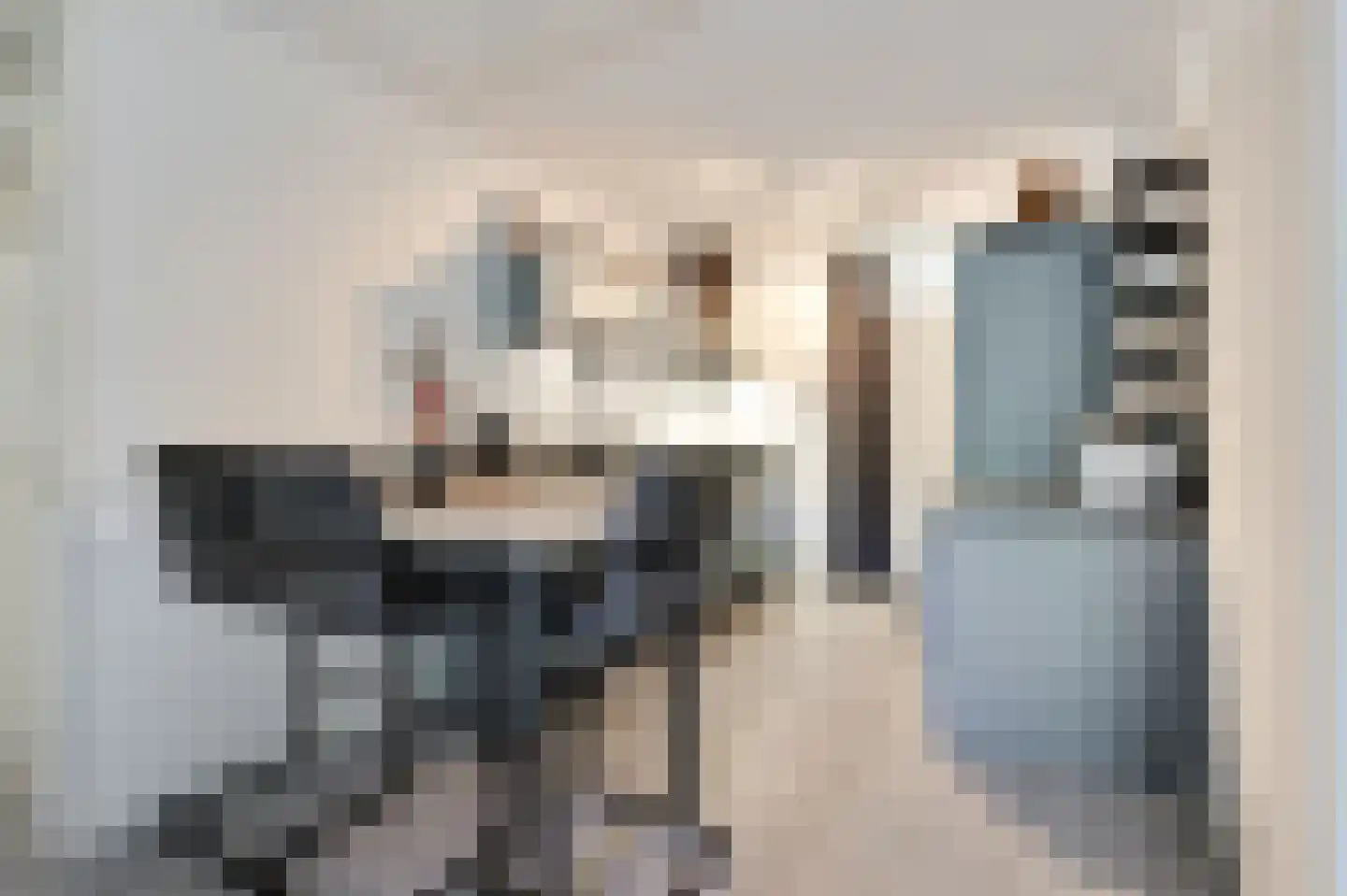 Zwaanstraat 56 Duiven thumbnail 18