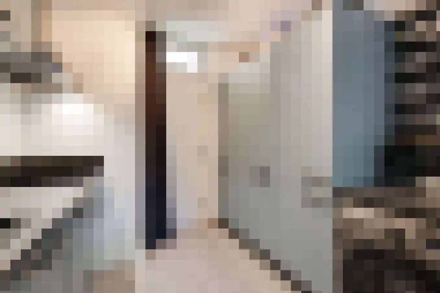 Zwaanstraat 56 Duiven thumbnail 20