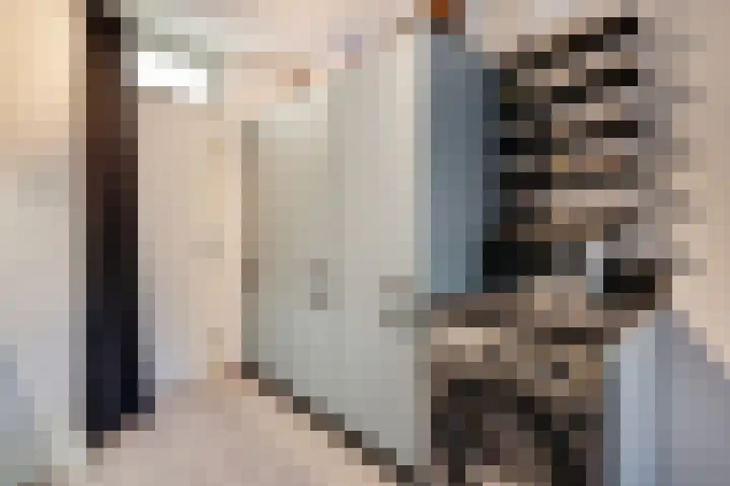 Zwaanstraat 56 Duiven thumbnail 21