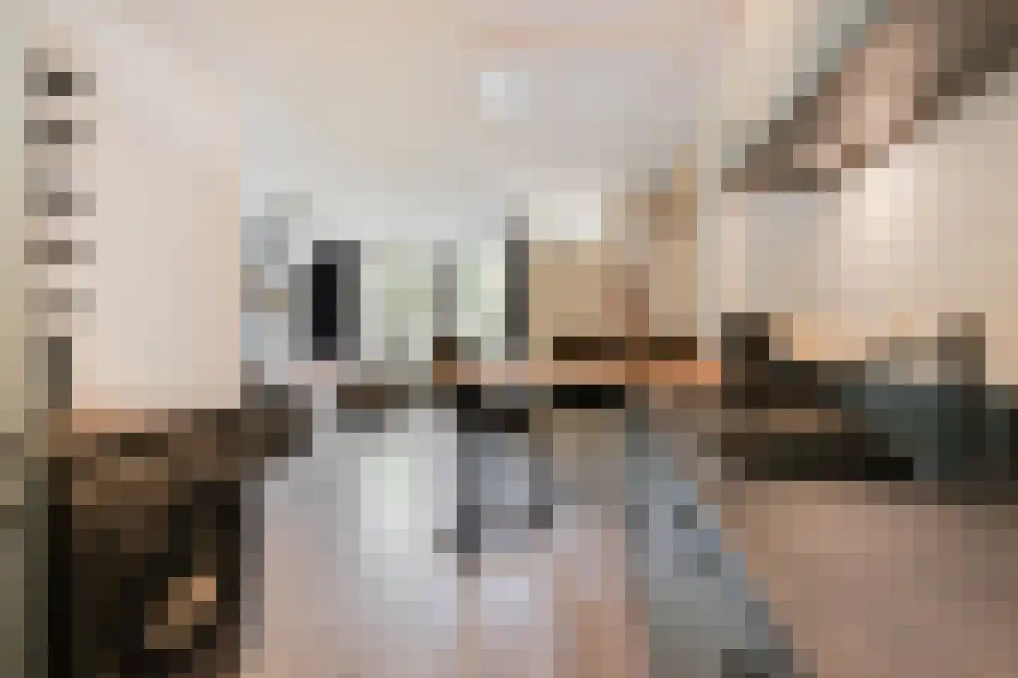 Zwaanstraat 56 Duiven thumbnail 22
