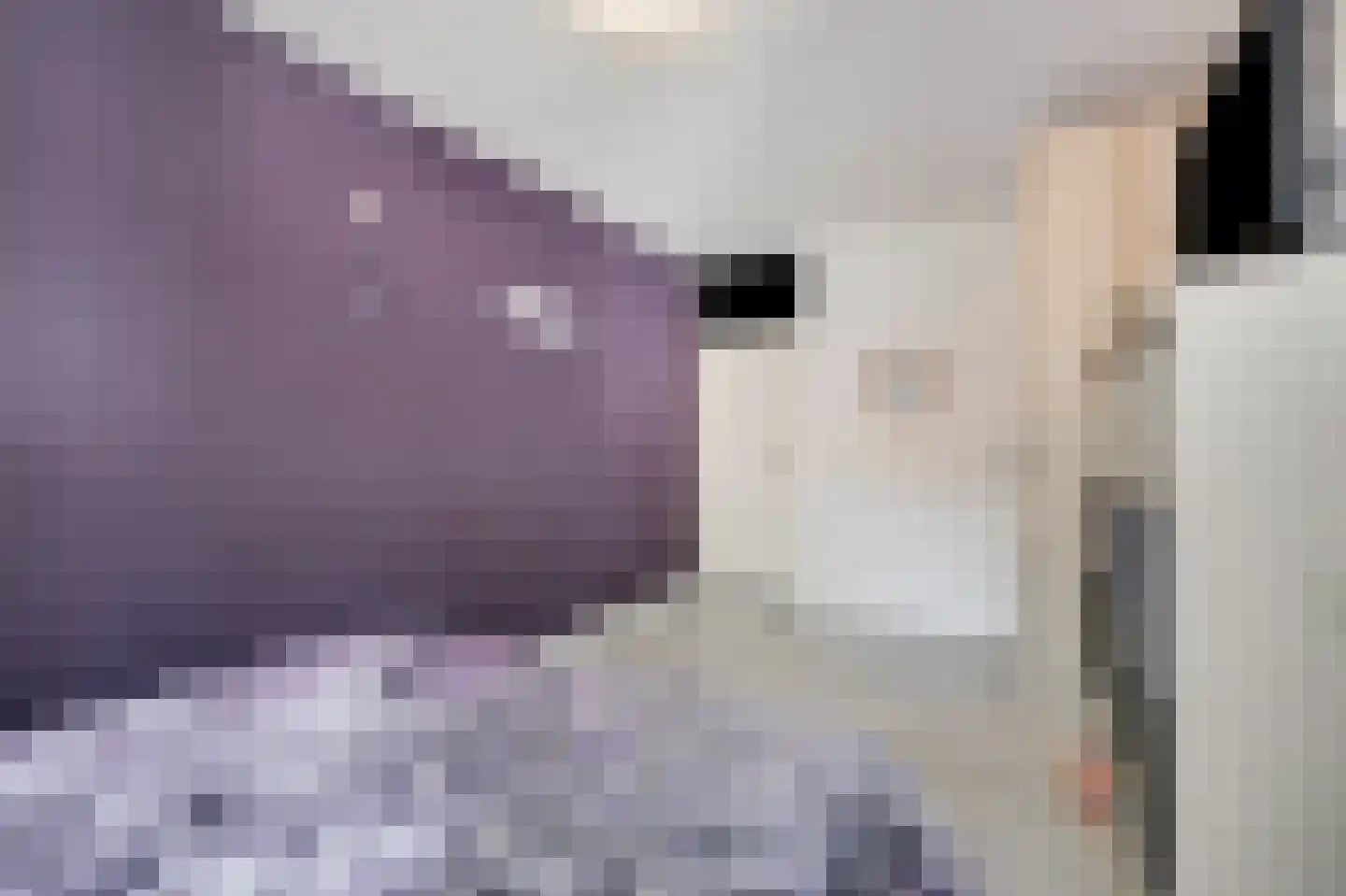 Zwaanstraat 56 Duiven thumbnail 24