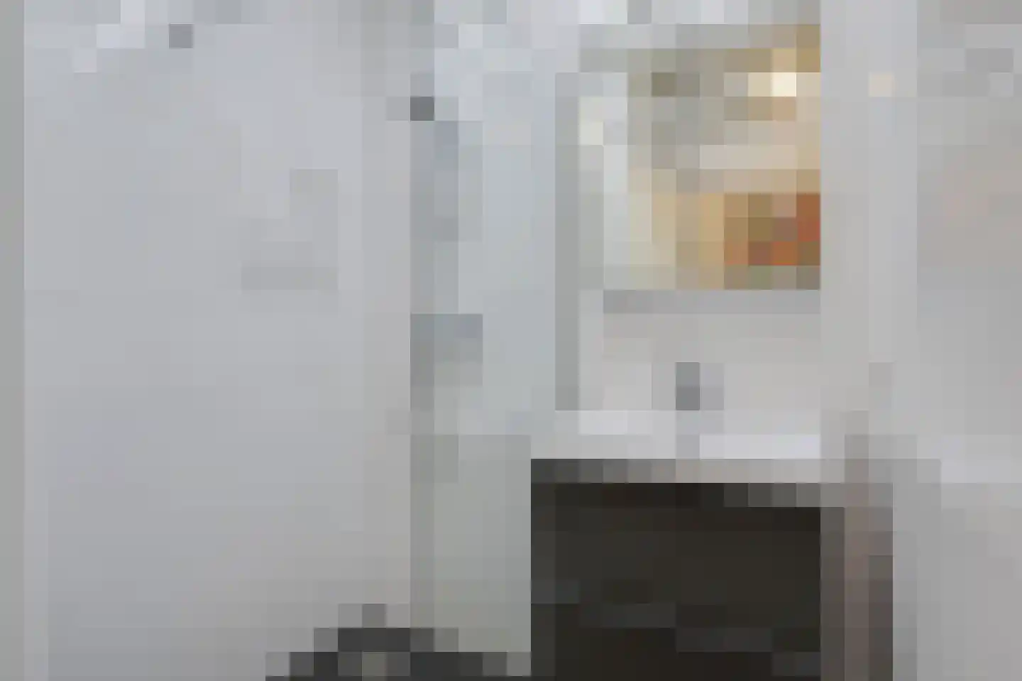Zwaanstraat 56 Duiven thumbnail 29