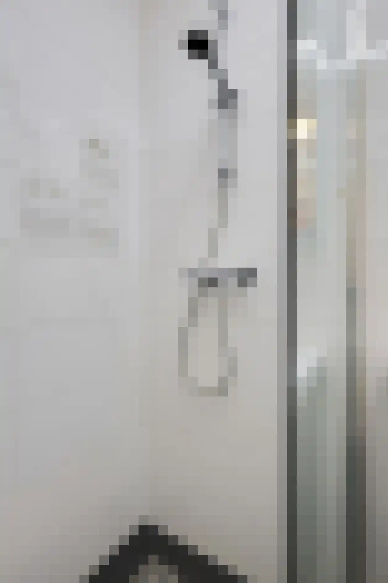 Zwaanstraat 56 Duiven thumbnail 31
